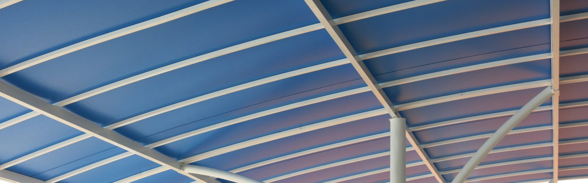 IMG 3961 Copia scaled