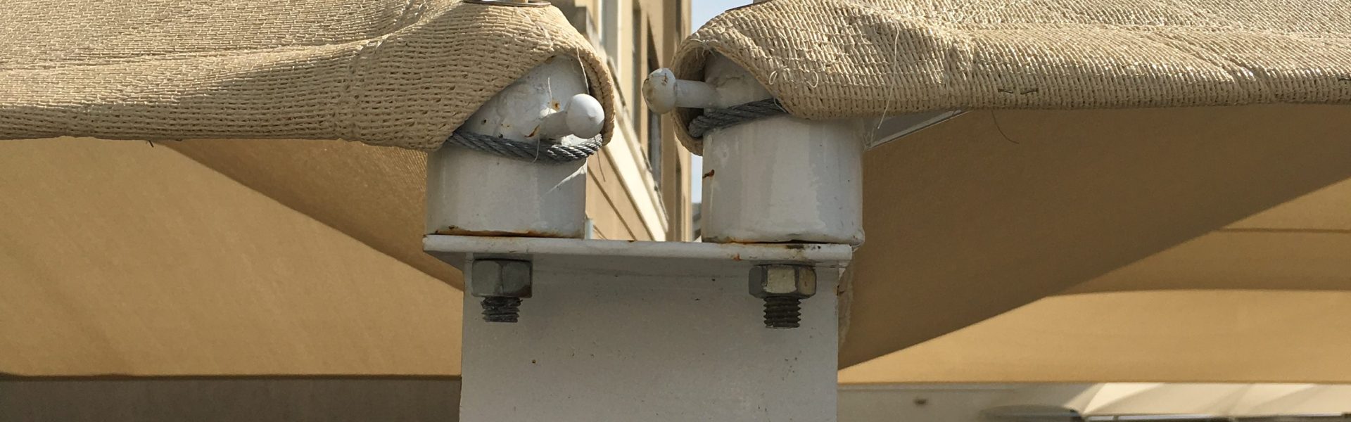 IMG 8660 e1567815646885 scaled