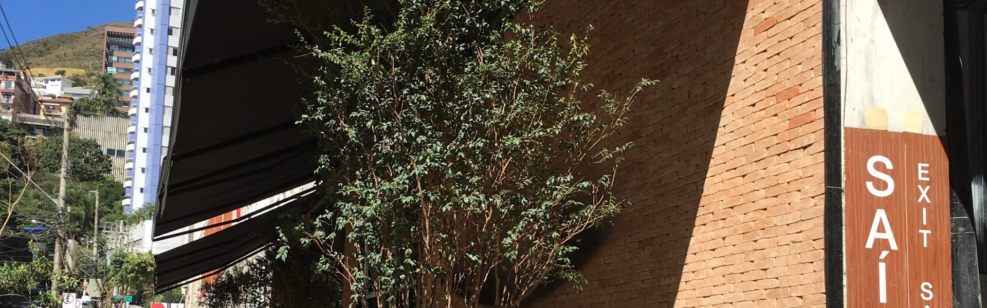 IMG 8962 e1567821451748 scaled