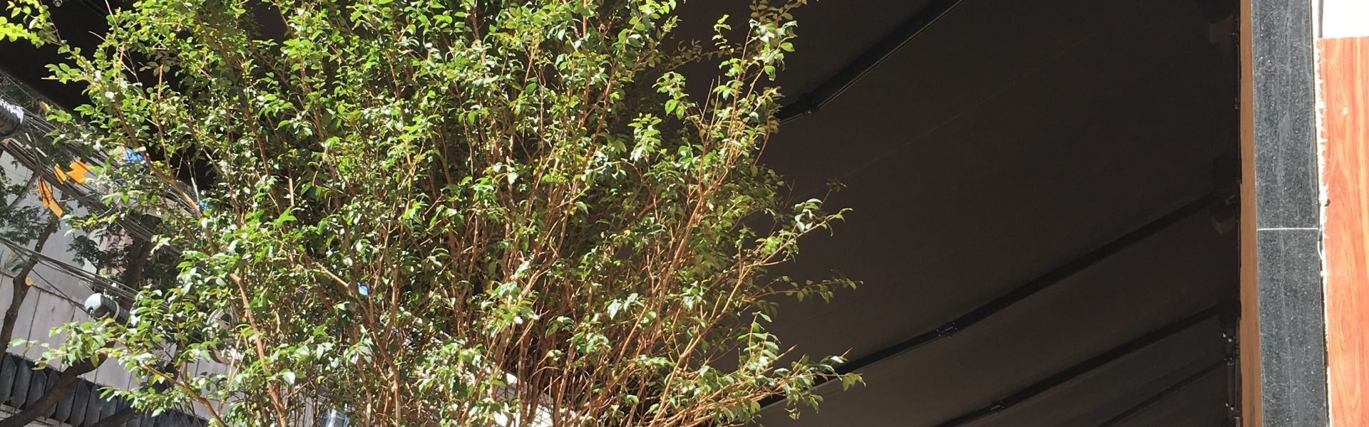 IMG 8963 e1567821401610 scaled